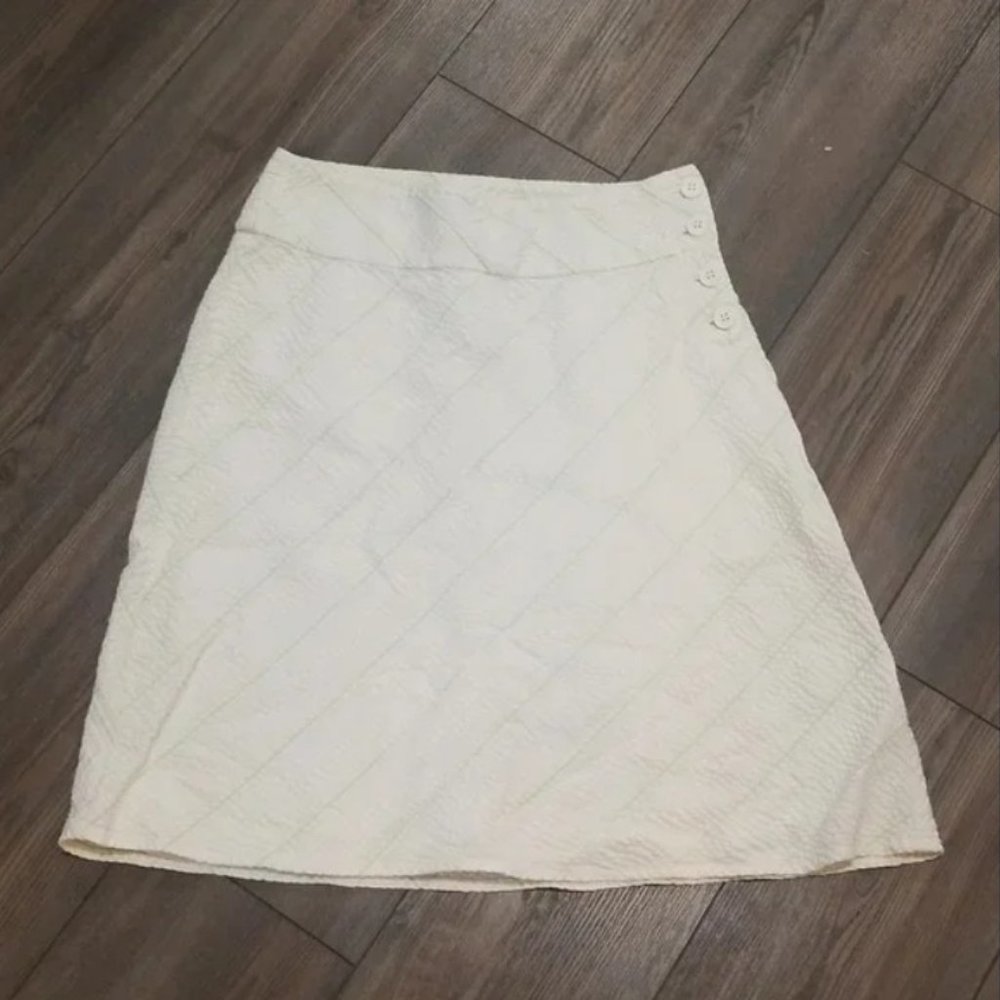 Ann Taylor Skirt 2